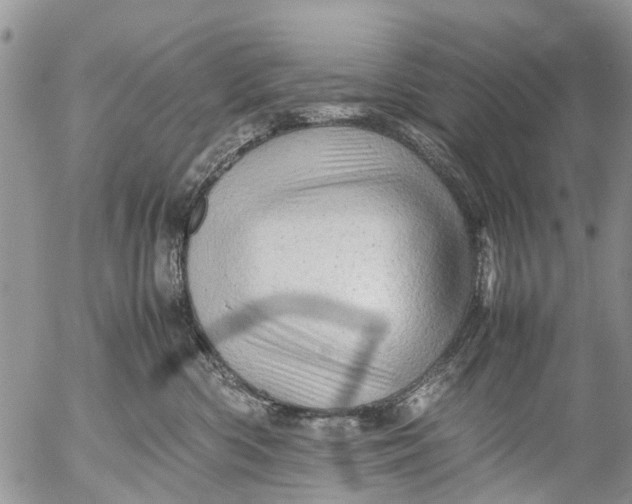 X0000053150426200508012315