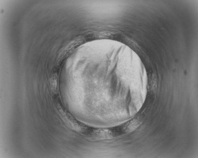 X0000053150427200508012315