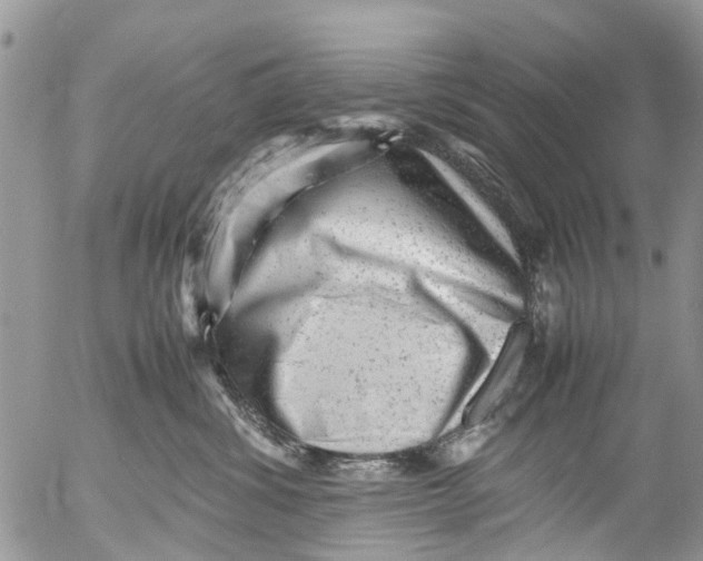 X0000053150428200508012315