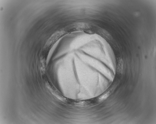 X0000053150430200508012314