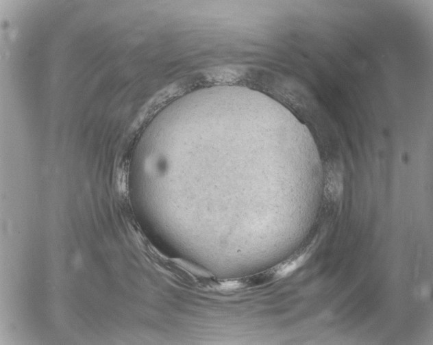 X0000053150431200508012314