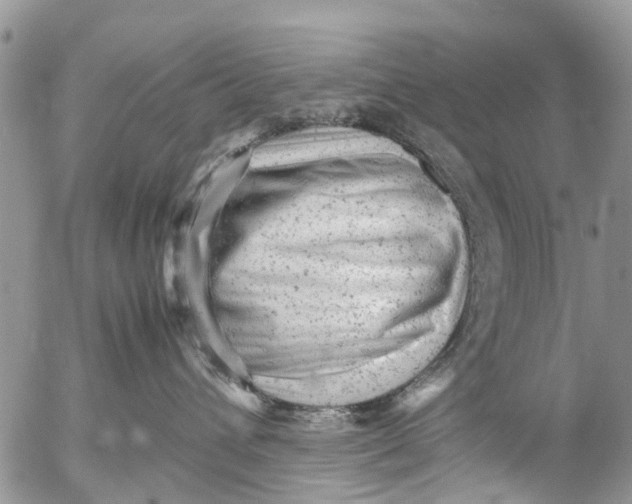 X0000053150432200508012314