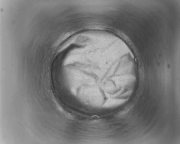 X0000053150433200508012314