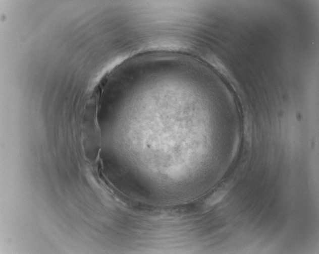 X0000053150434200508012314