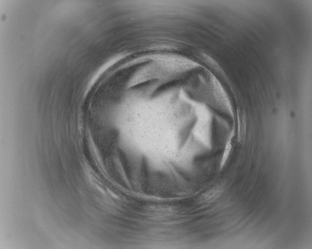 X0000053150435200508012314