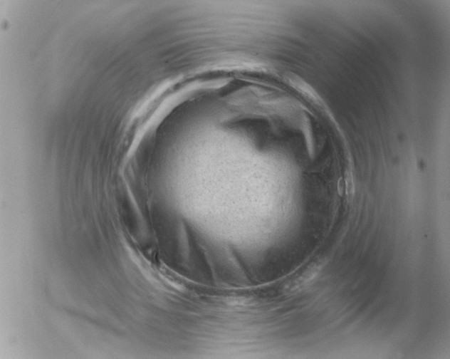 X0000053150436200508012314