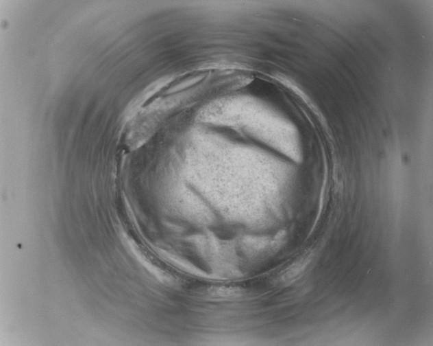 X0000053150437200508012314