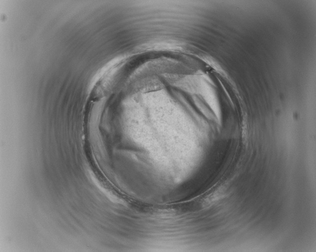 X0000053150438200508012314