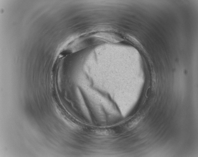 X0000053150439200508012314