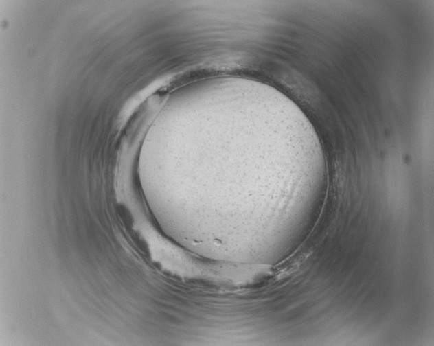 X0000053150440200508012314