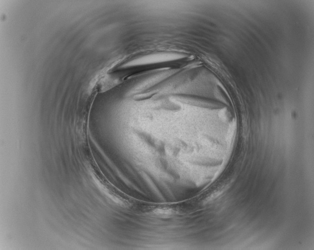 X0000053150441200508012314