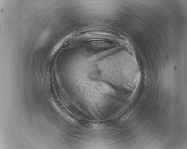 X0000053150442200508012314