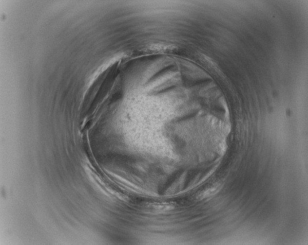 X0000053150443200508012314