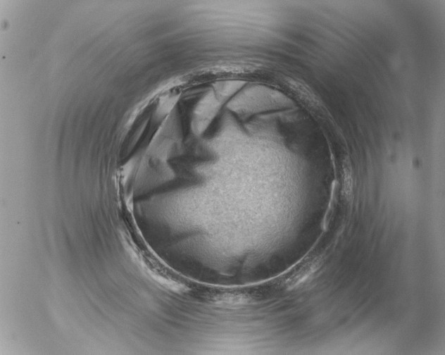 X0000053150444200508012314