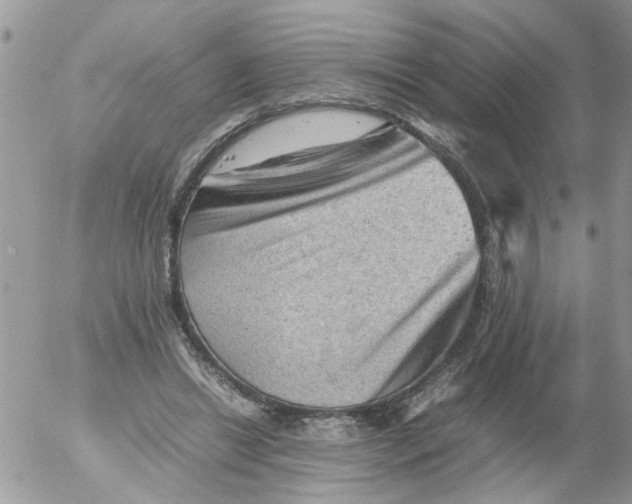 X0000053150446200508012314