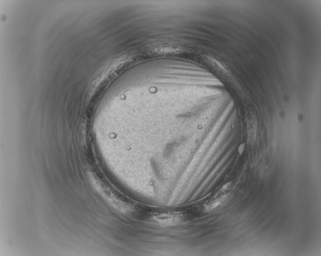 X0000053150447200508012314