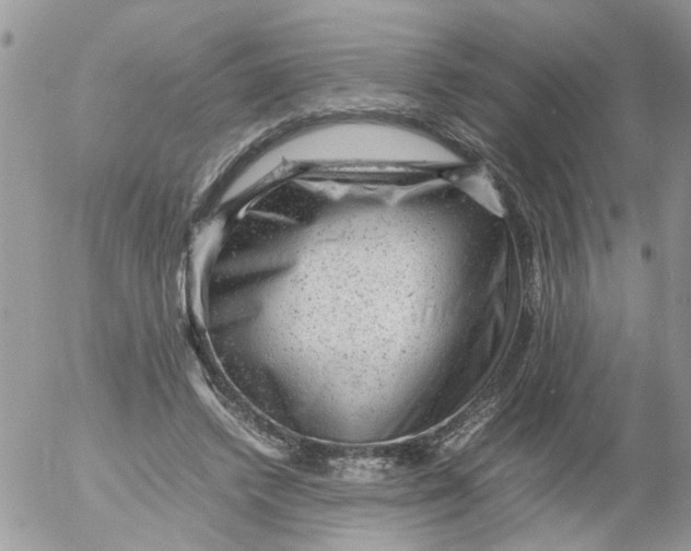 X0000053150448200508012314