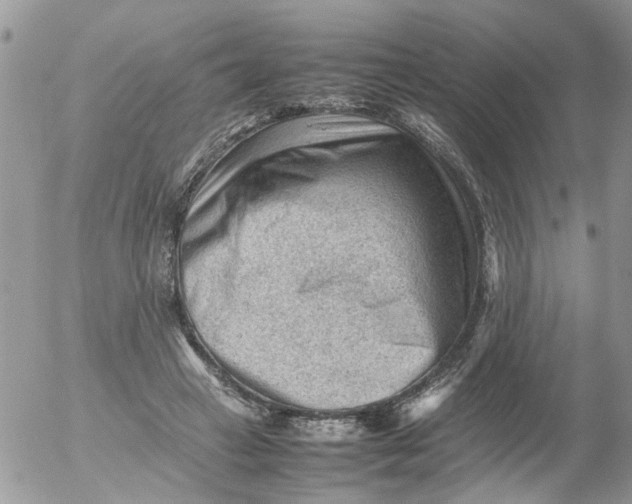 X0000053150449200508012314