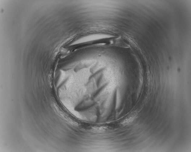 X0000053150450200508012314