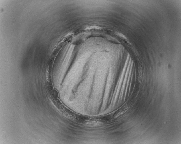 X0000053150451200508012314