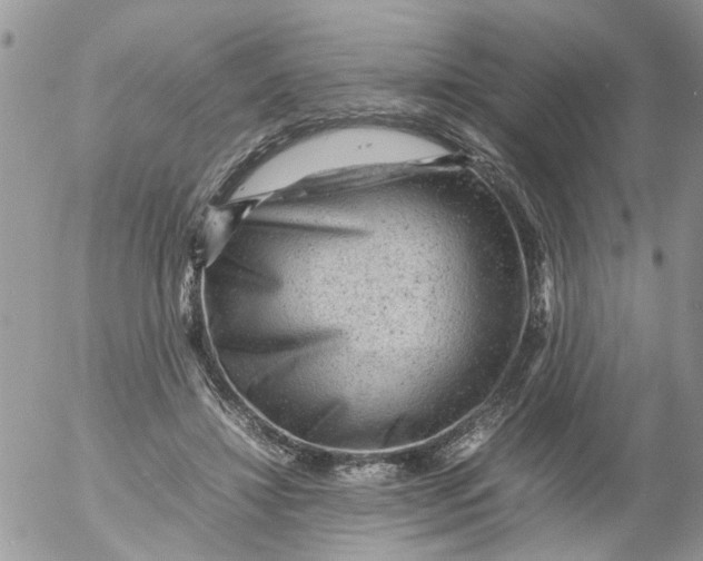 X0000053150452200508012314