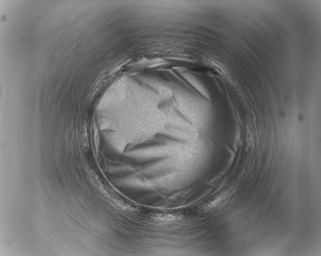 X0000053150453200508012314