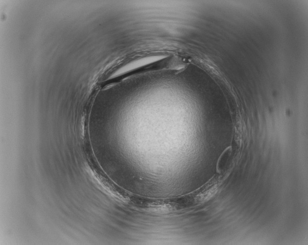 X0000053150454200508012314