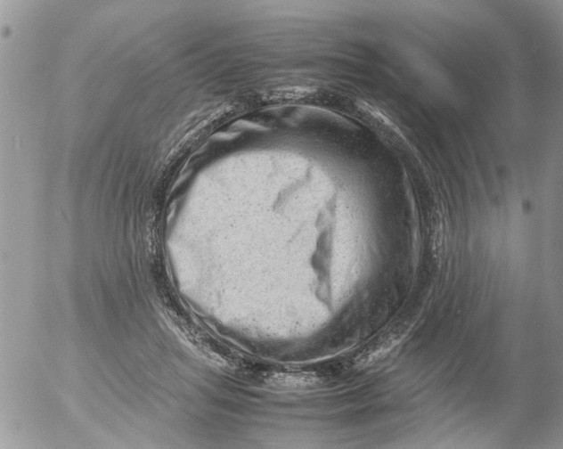 X0000053150455200508012314