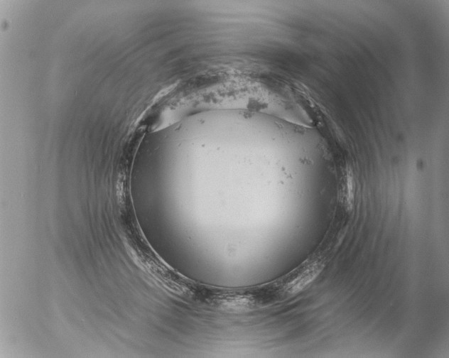 X0000053150456200508012314