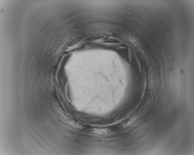 X0000053150457200508012314