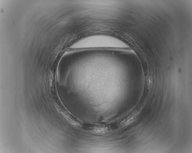 X0000053150458200508012314