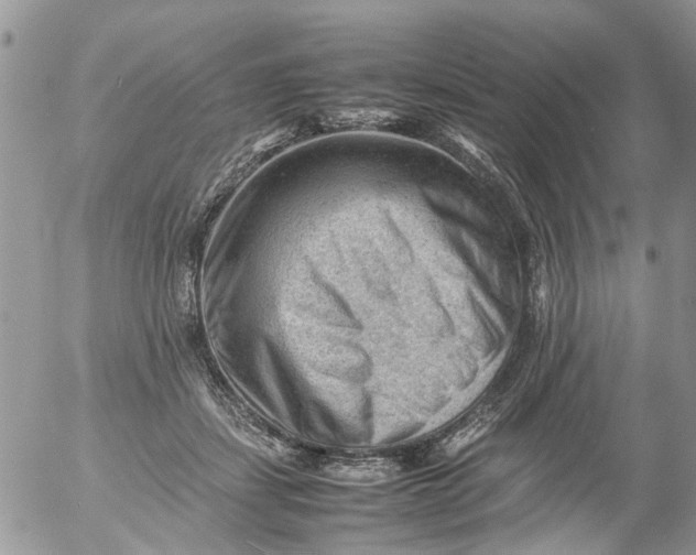 X0000053150459200508012314