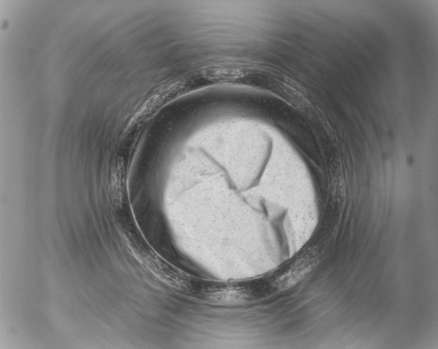 X0000053150460200508012314