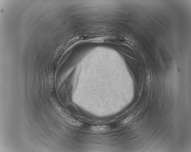 X0000053150461200508012314