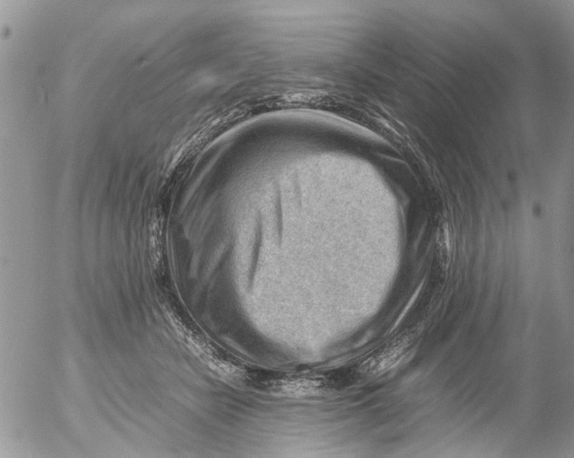 X0000053150462200508012314