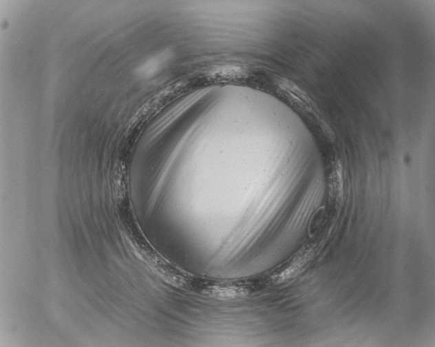 X0000053150464200508012314