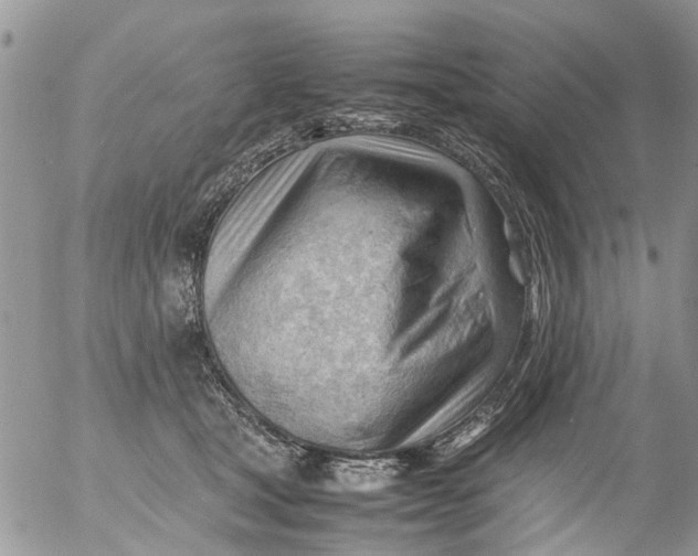 X0000053150465200508012314