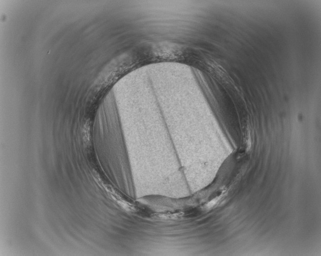 X0000053150466200508012314