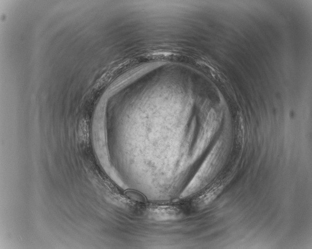 X0000053150467200508012314