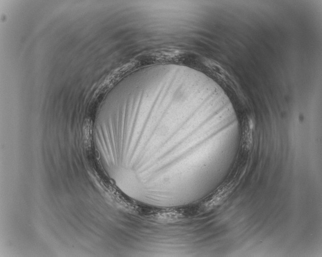 X0000053150468200508012314