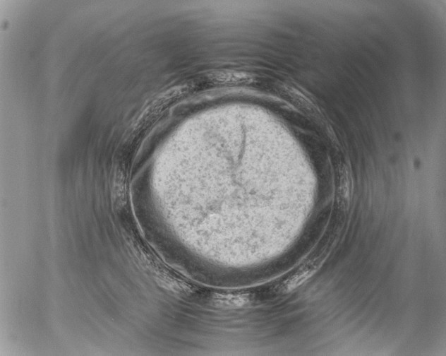 X0000053150469200508012314