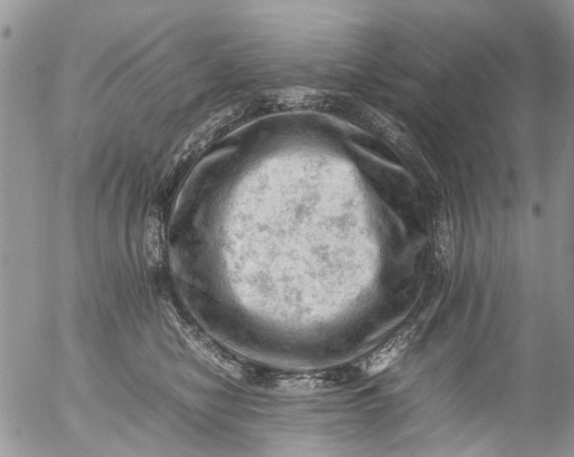 X0000053150470200508012314