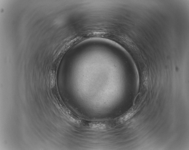 X0000053150471200508012314