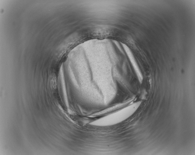 X0000053150474200508012314