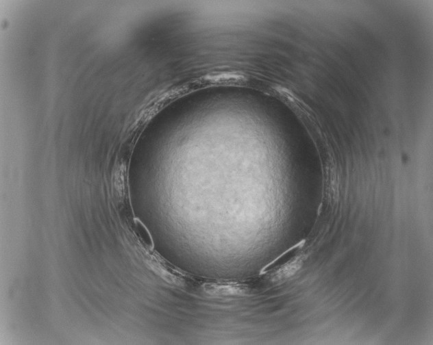 X0000053150475200508012314