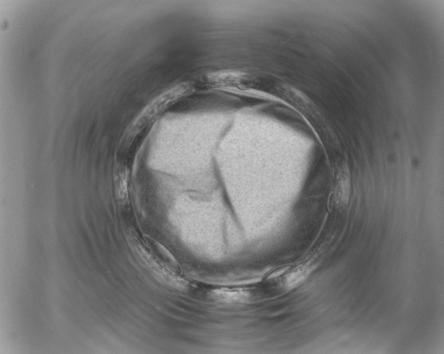 X0000053150477200508012314