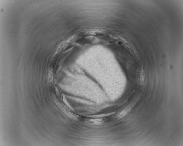 X0000053150478200508012314