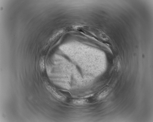 X0000053150479200508012314