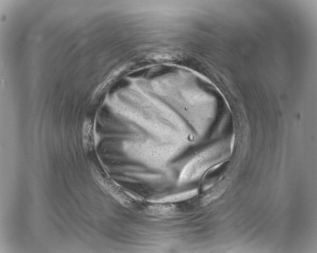 X0000053150480200508012314