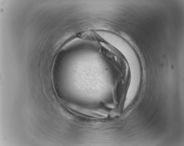 X0000053150481200508012314